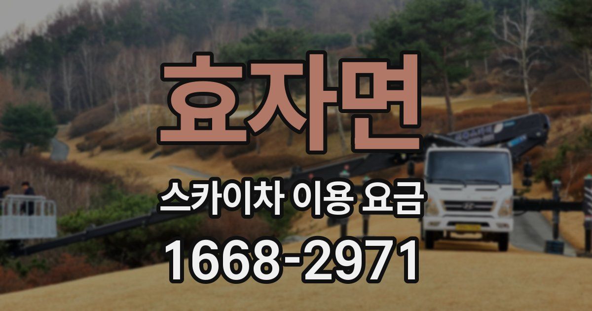 효자면 스카이차 이용 요금