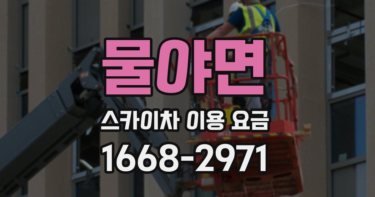 물야면 스카이차 이용 요금