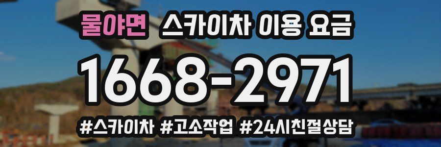 물야면 스카이차 이용 요금