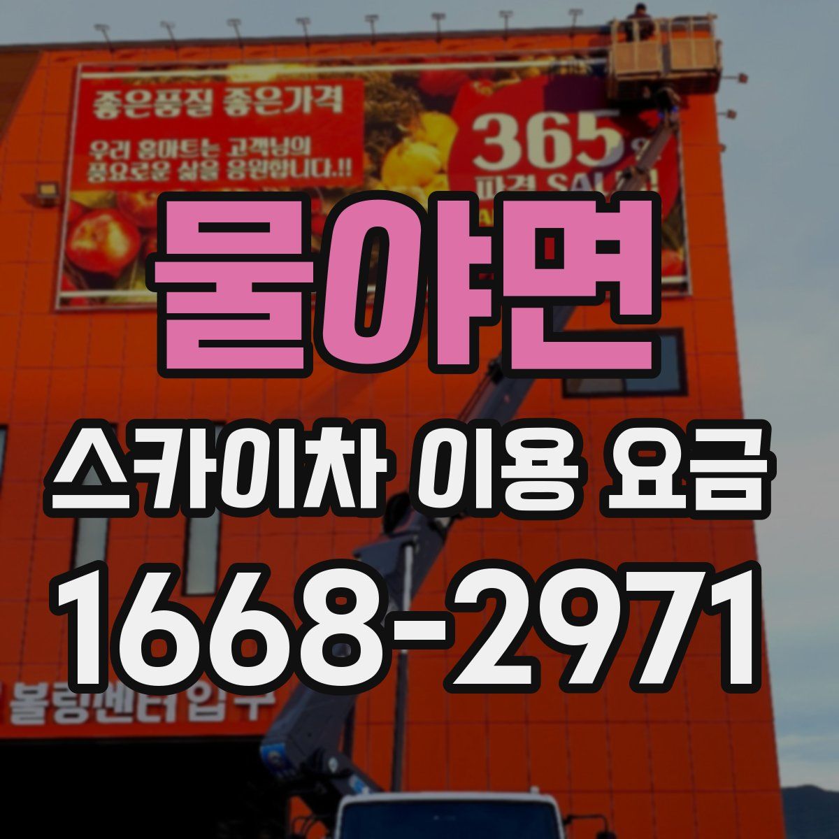 물야면 스카이차 이용 요금