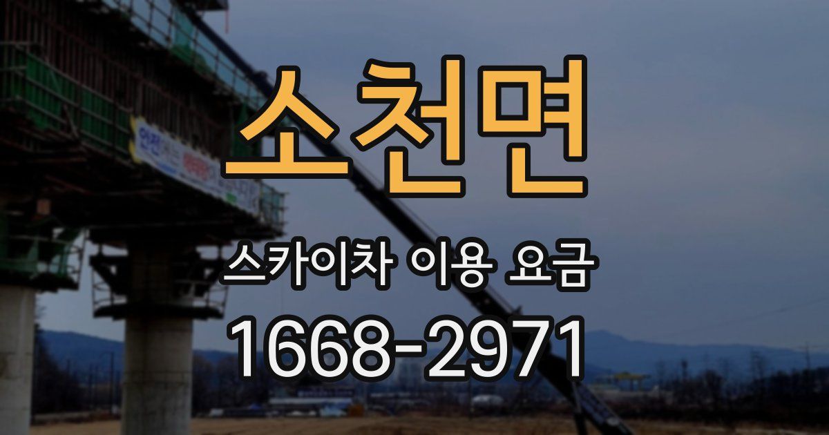 소천면 스카이차 이용 요금