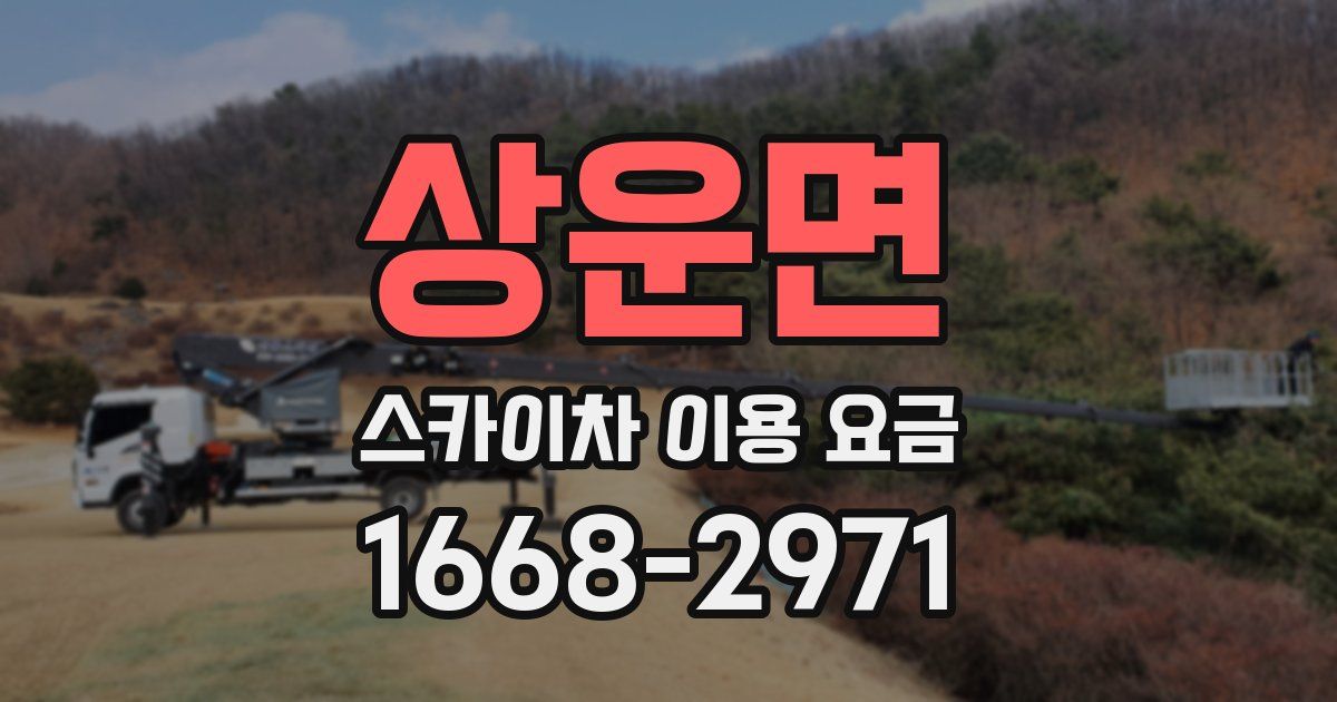 상운면 스카이차 이용 요금