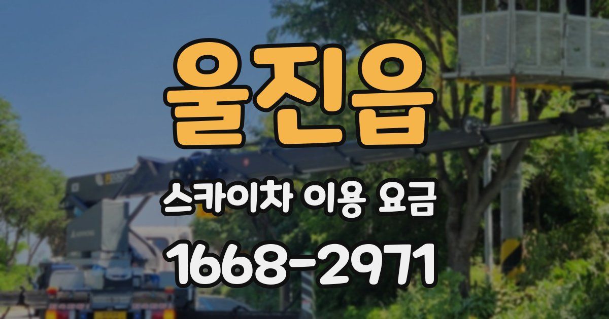 울진읍 스카이차 이용 요금