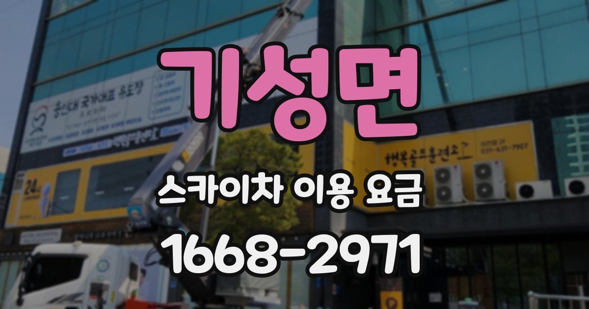 기성면 스카이차 이용 요금