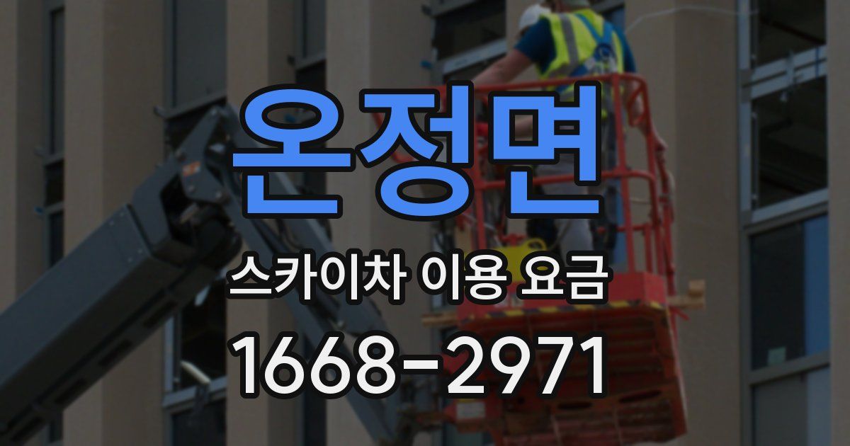 온정면 스카이차 이용 요금