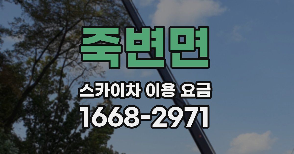 죽변면 스카이차 이용 요금