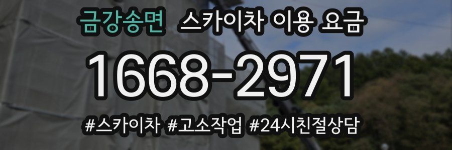 금강송면 스카이차 이용 요금