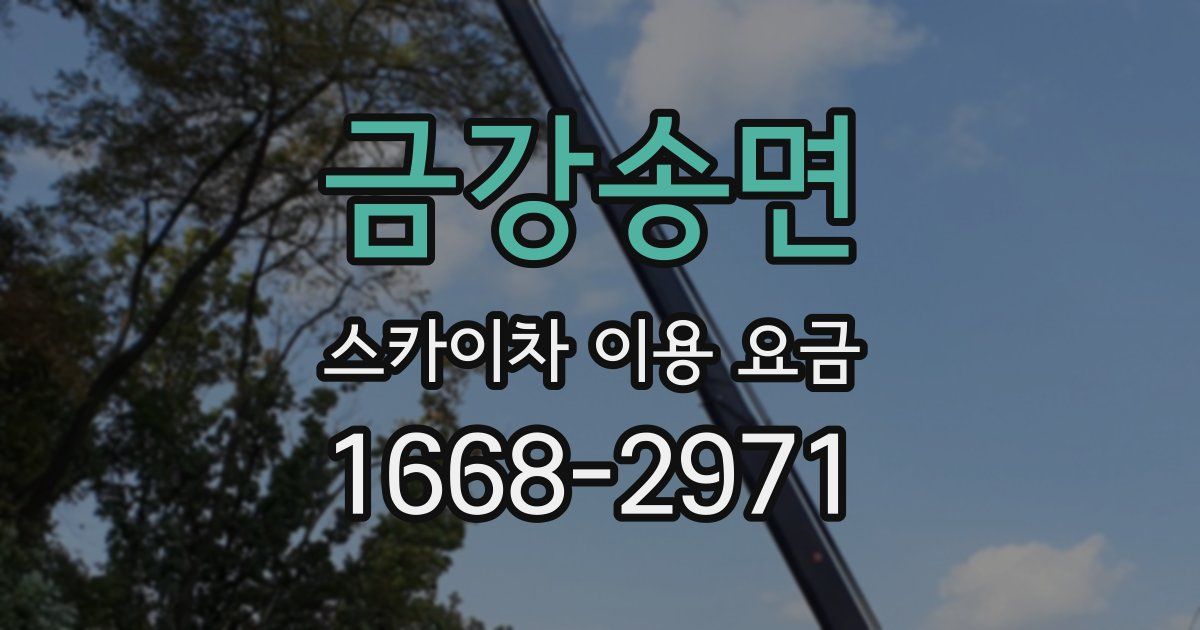 금강송면 스카이차 이용 요금