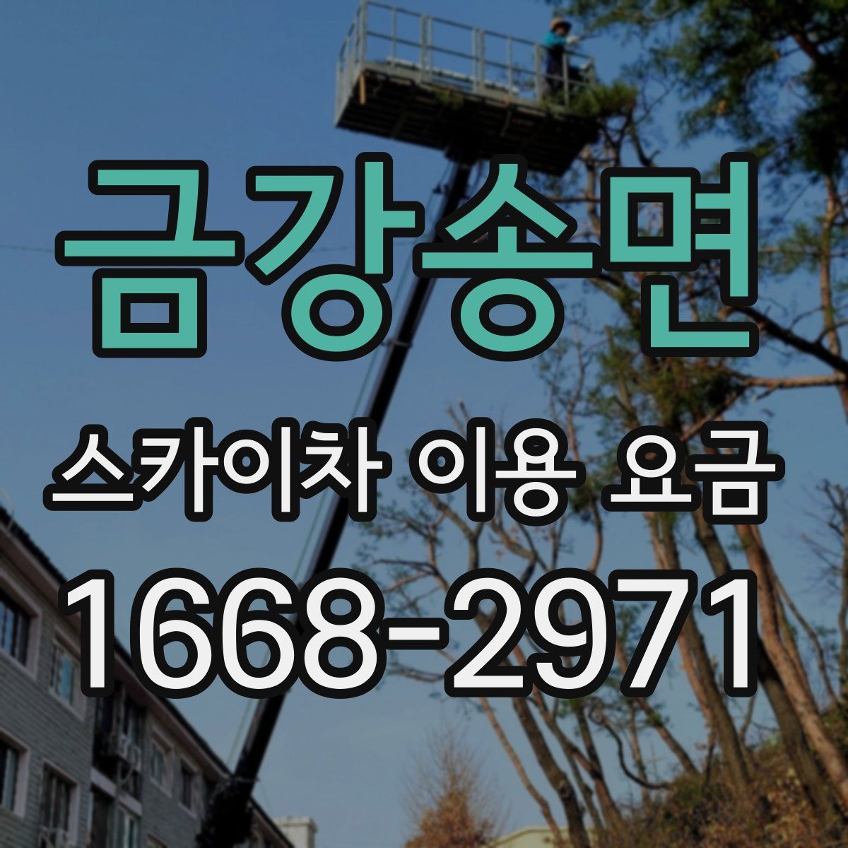 금강송면 스카이차 이용 요금