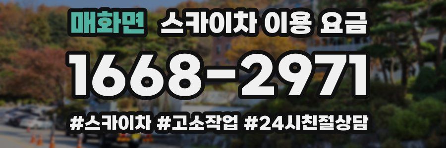 매화면 스카이차 이용 요금