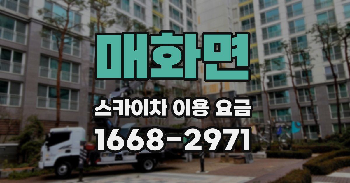 매화면 스카이차 이용 요금