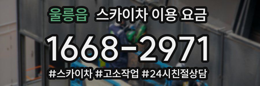 울릉읍 스카이차 이용 요금