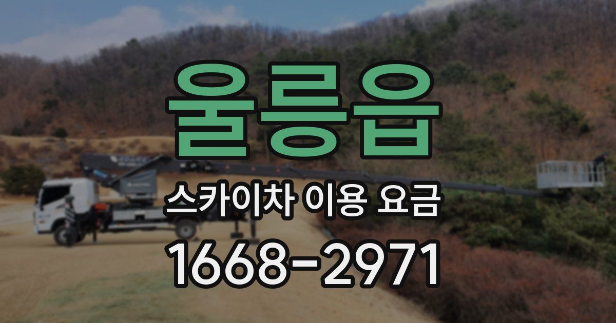 울릉읍 스카이차 이용 요금