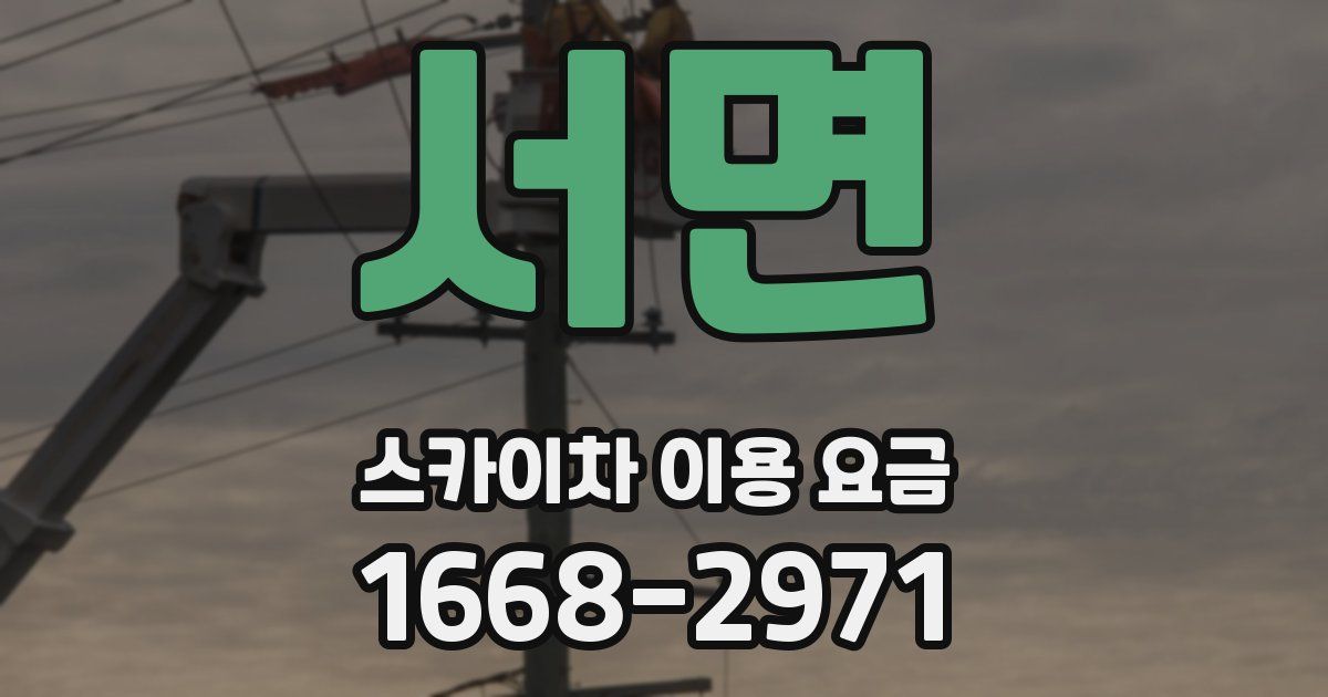 서면 스카이차 이용 요금