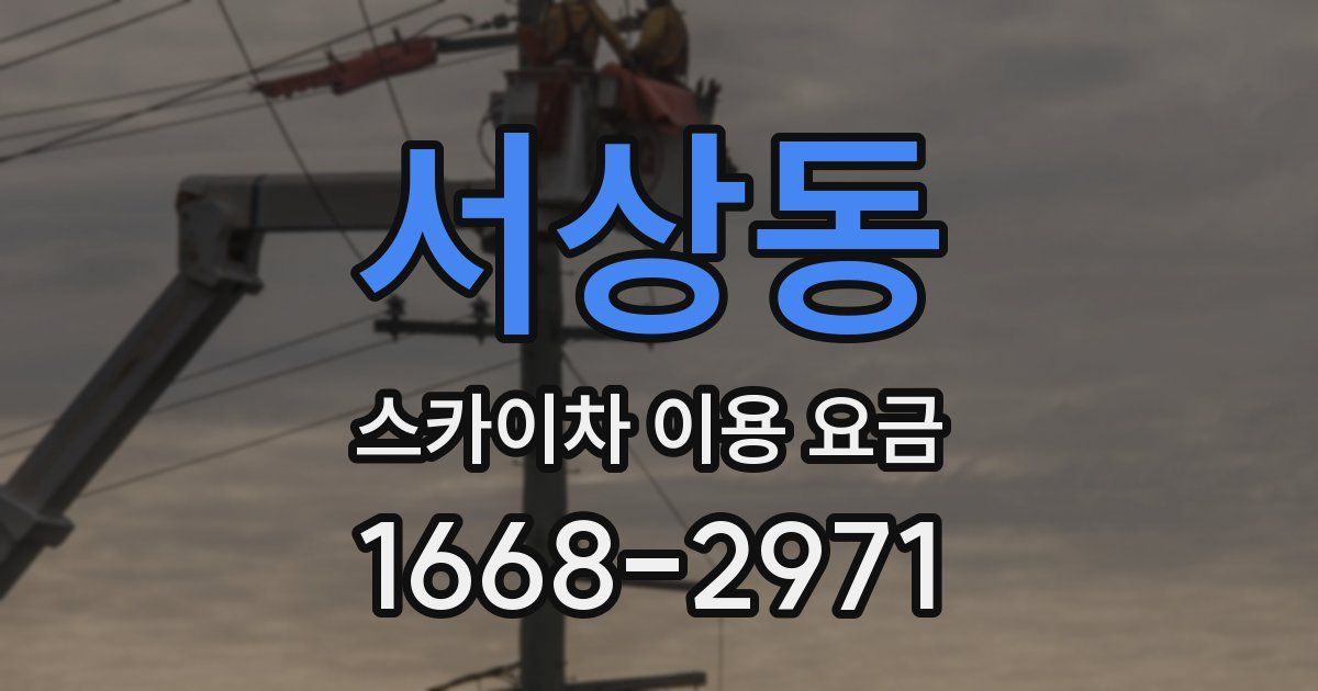 서상동 스카이차 이용 요금