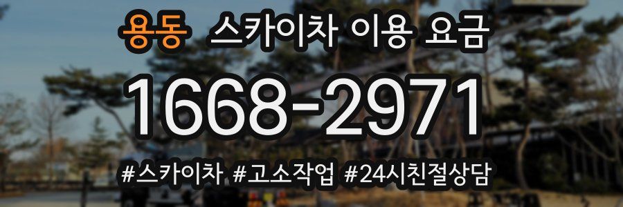 용동 스카이차 이용 요금