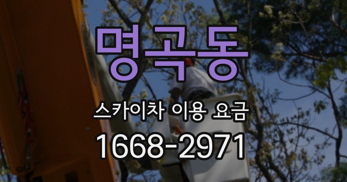 명곡동 스카이차 이용 요금