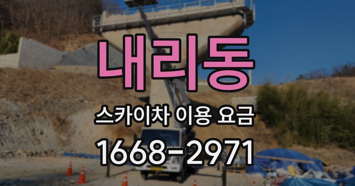 내리동 스카이차 이용 요금