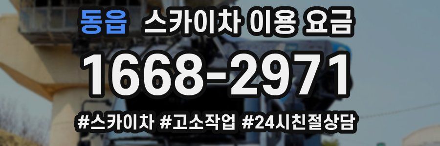 동읍 스카이차 이용 요금
