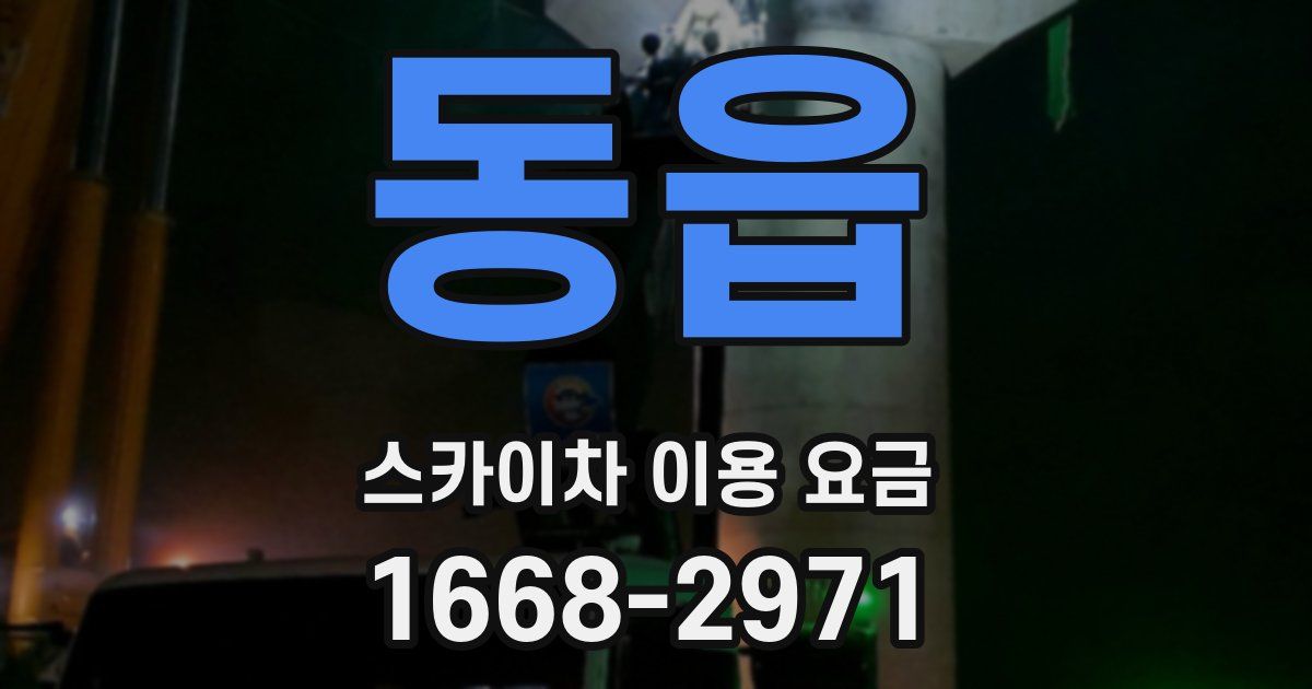 동읍 스카이차 이용 요금