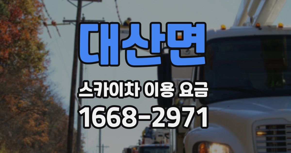 대산면 스카이차 이용 요금
