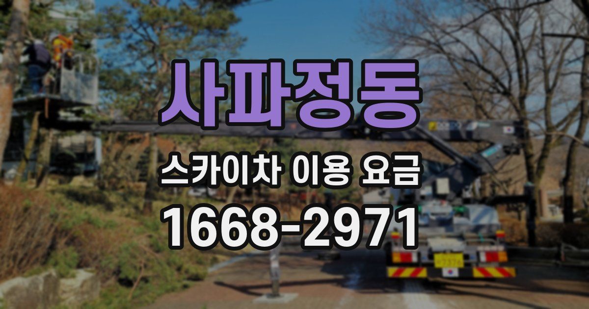 사파정동 스카이차 이용 요금