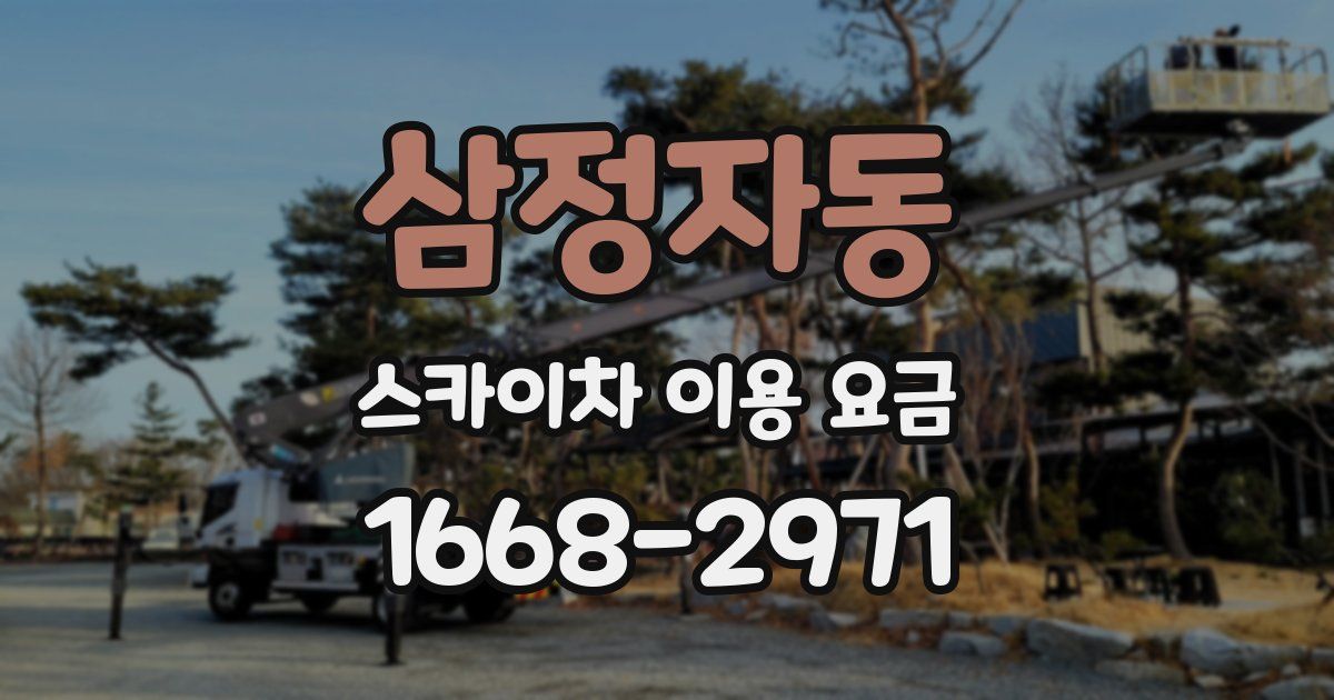삼정자동 스카이차 이용 요금