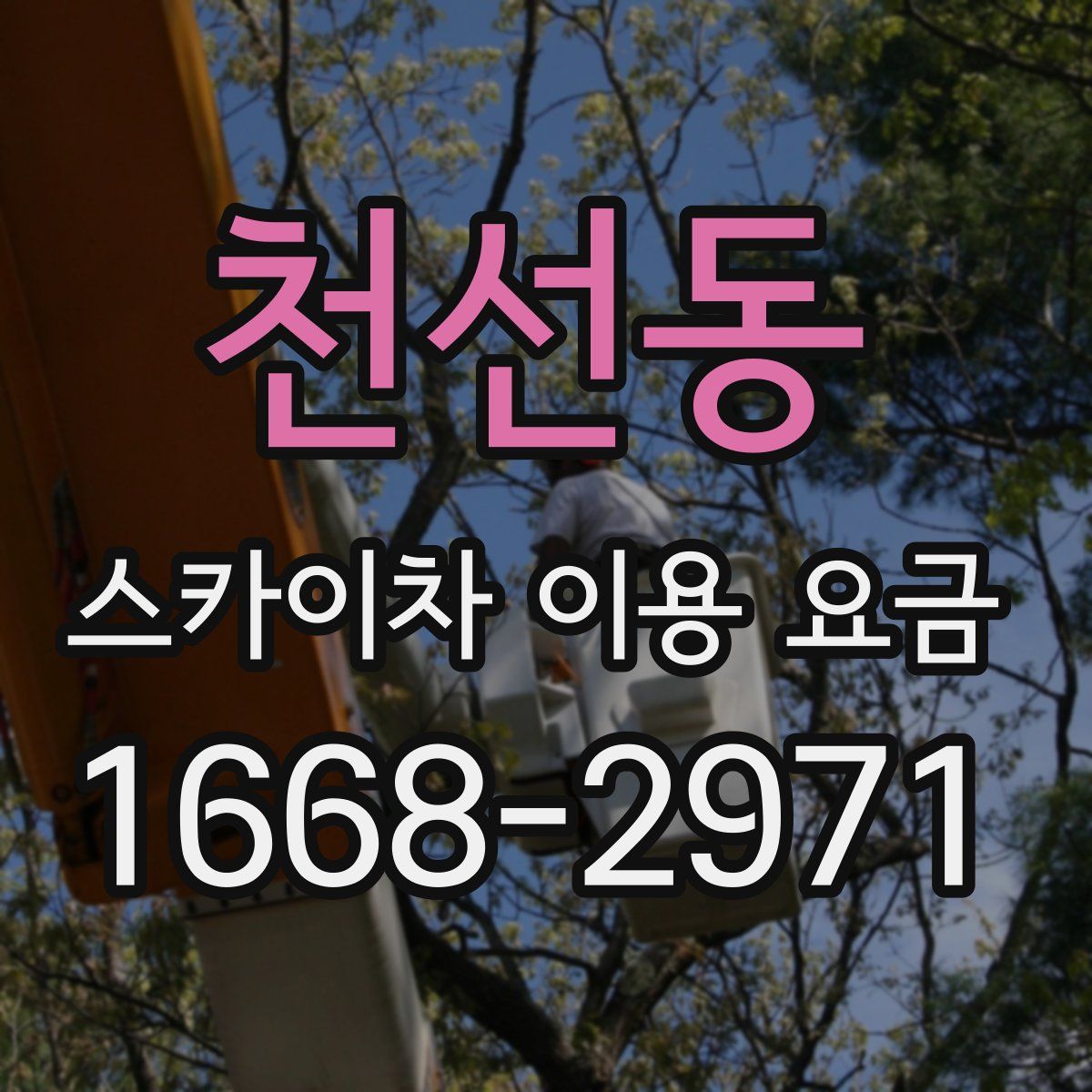 천선동 스카이차 이용 요금