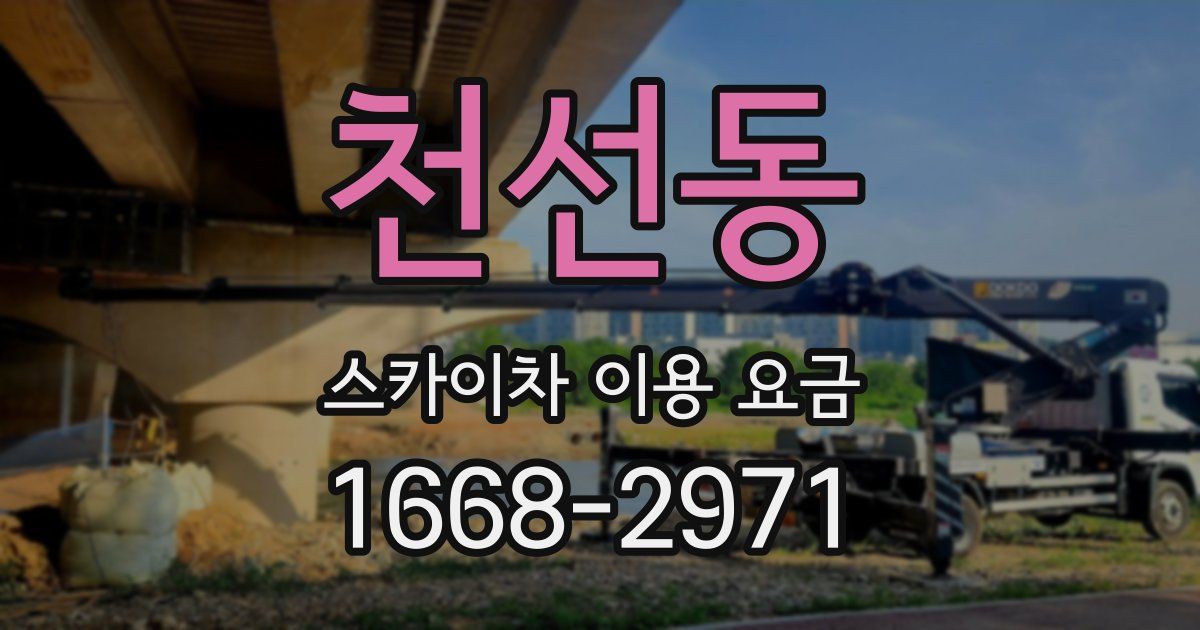 천선동 스카이차 이용 요금