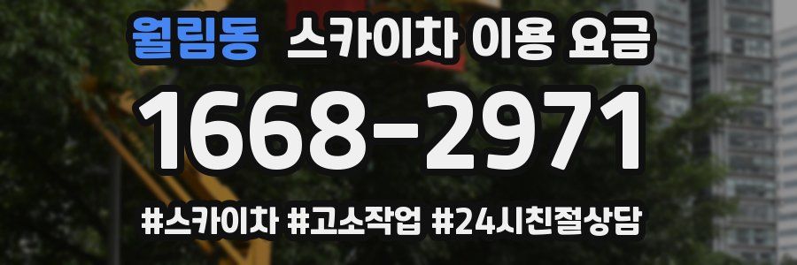월림동 스카이차 이용 요금