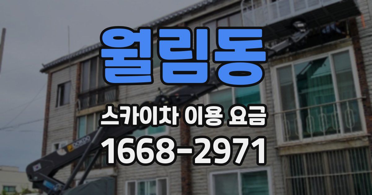 월림동 스카이차 이용 요금