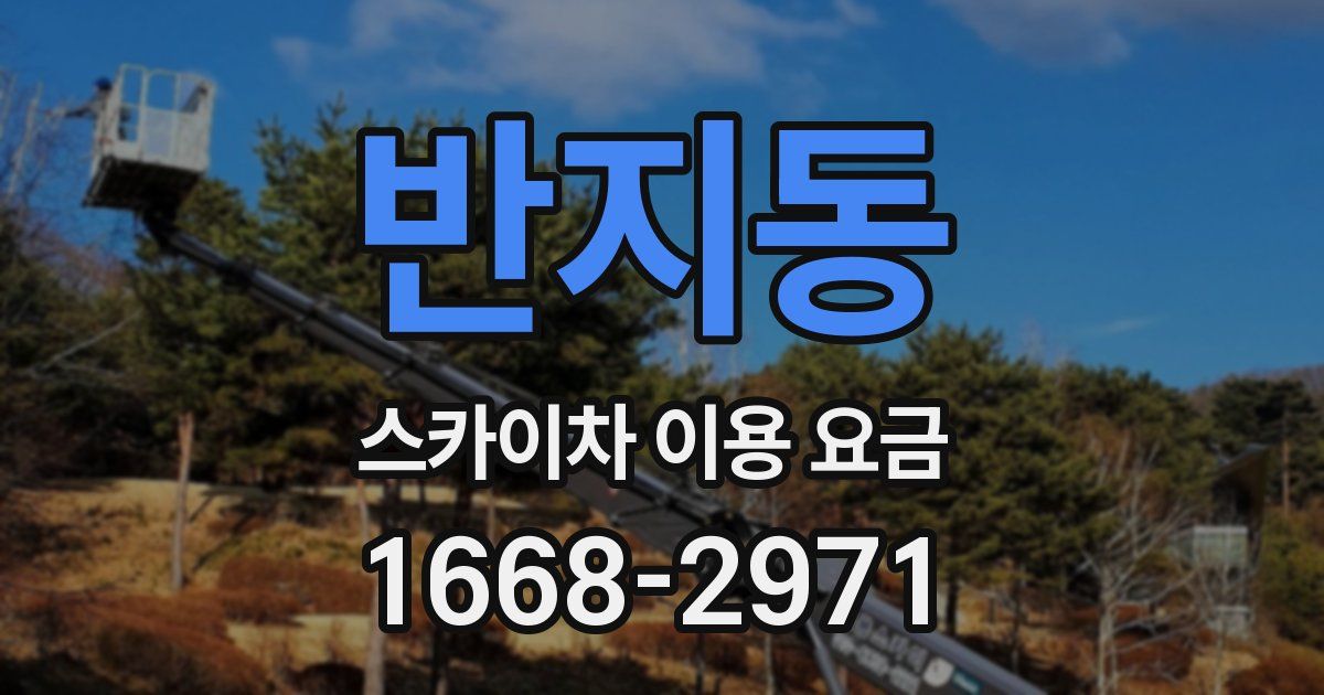 반지동 스카이차 이용 요금