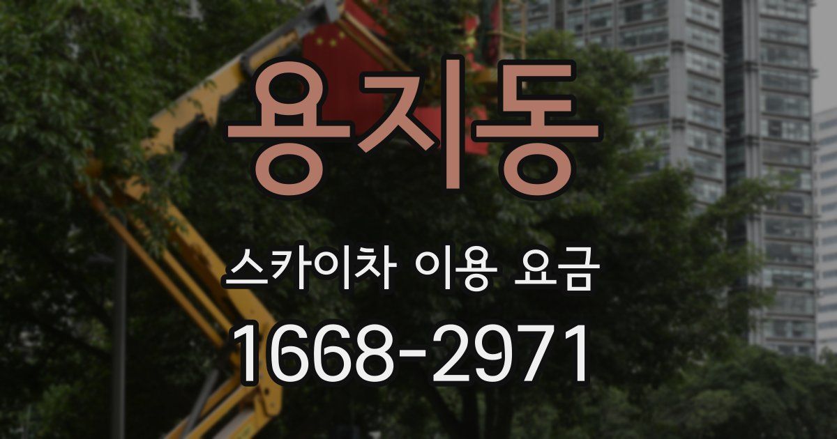 용지동 스카이차 이용 요금
