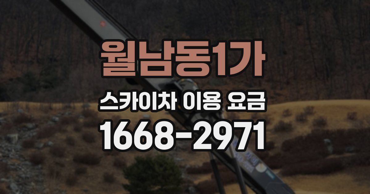 월남동1가 스카이차 이용 요금