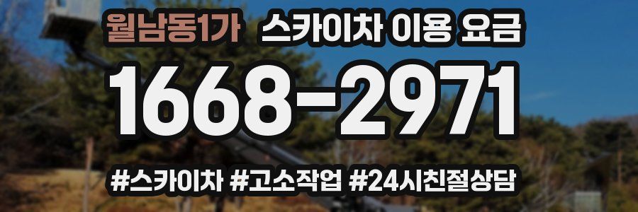 월남동1가 스카이차 이용 요금