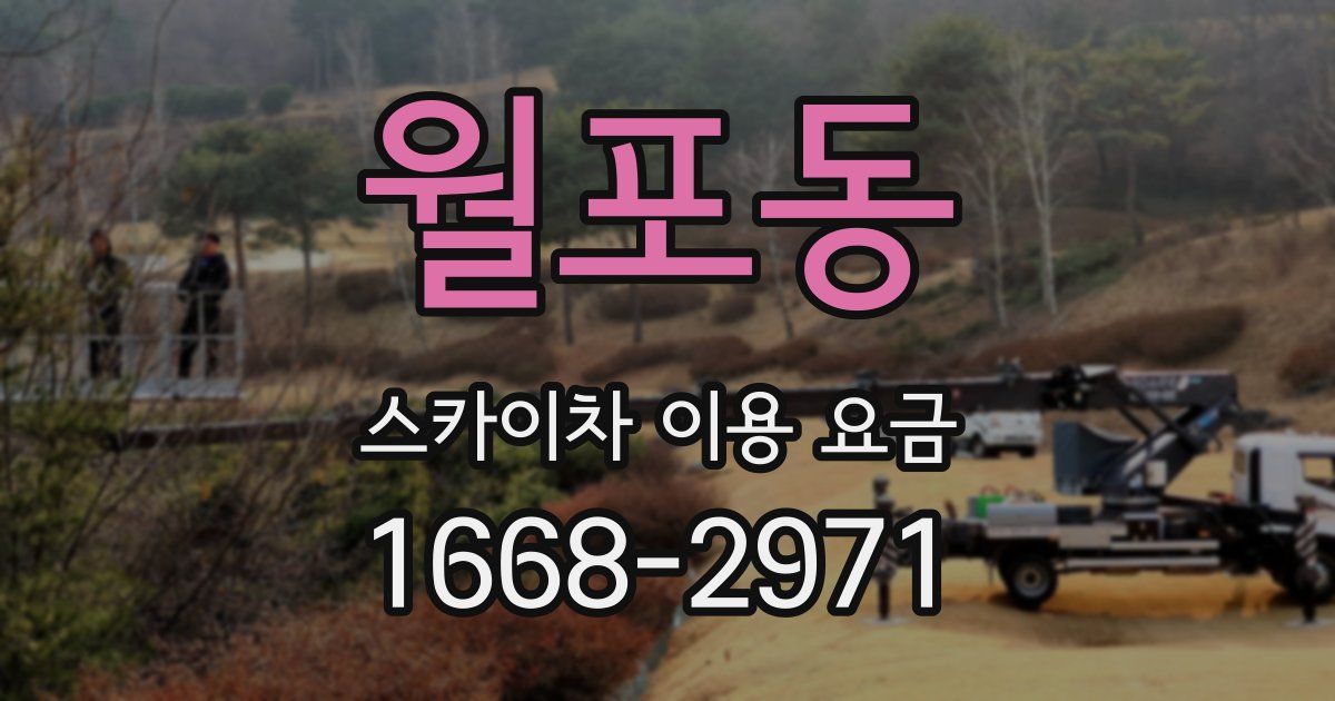 월포동 스카이차 이용 요금