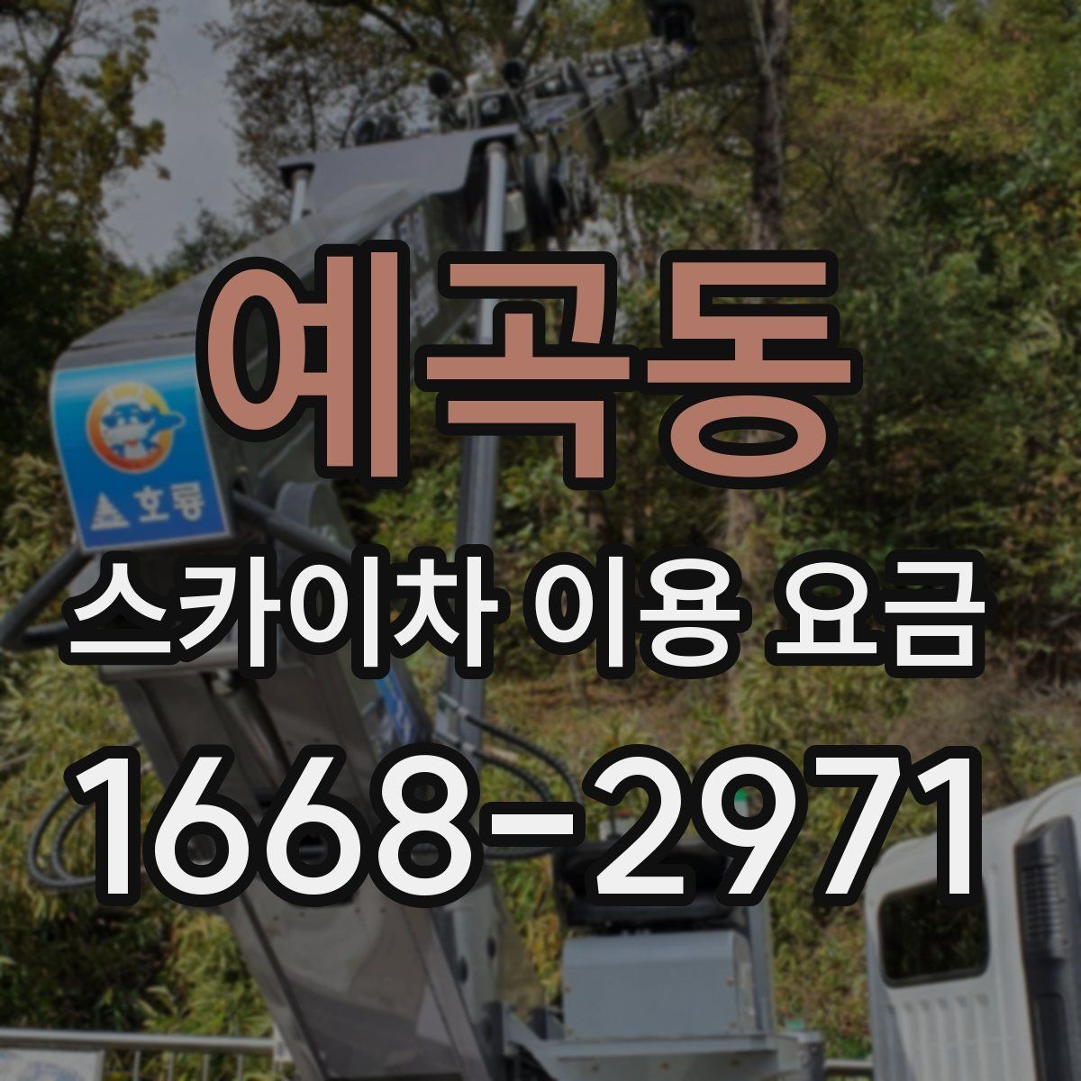 예곡동 스카이차 이용 요금 비교 시 빠뜨리기 쉬운 항목