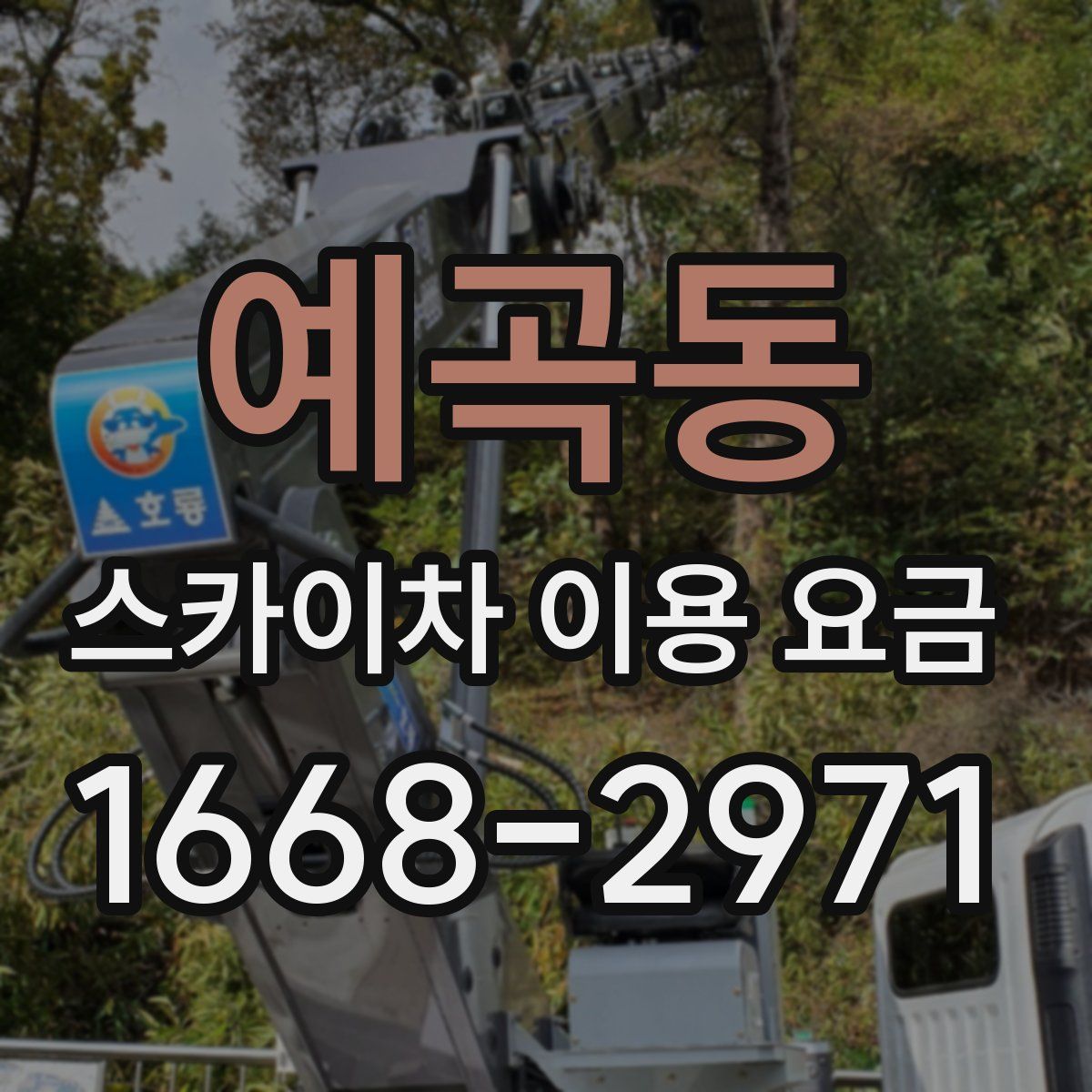 예곡동 스카이차 이용 요금