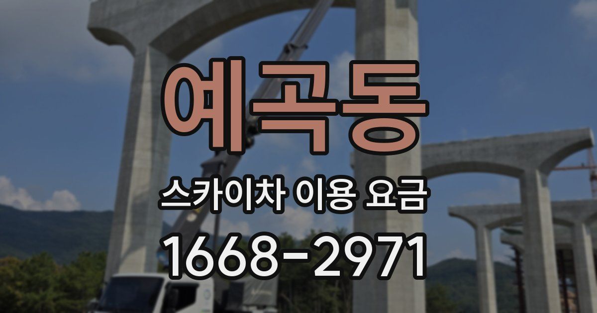 예곡동 스카이차 이용 요금