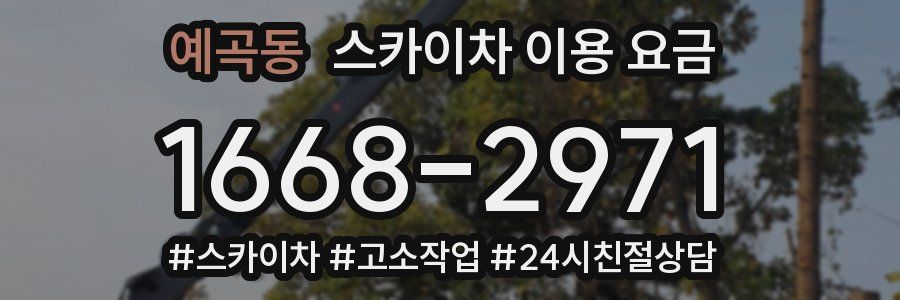 예곡동 스카이차 이용 요금