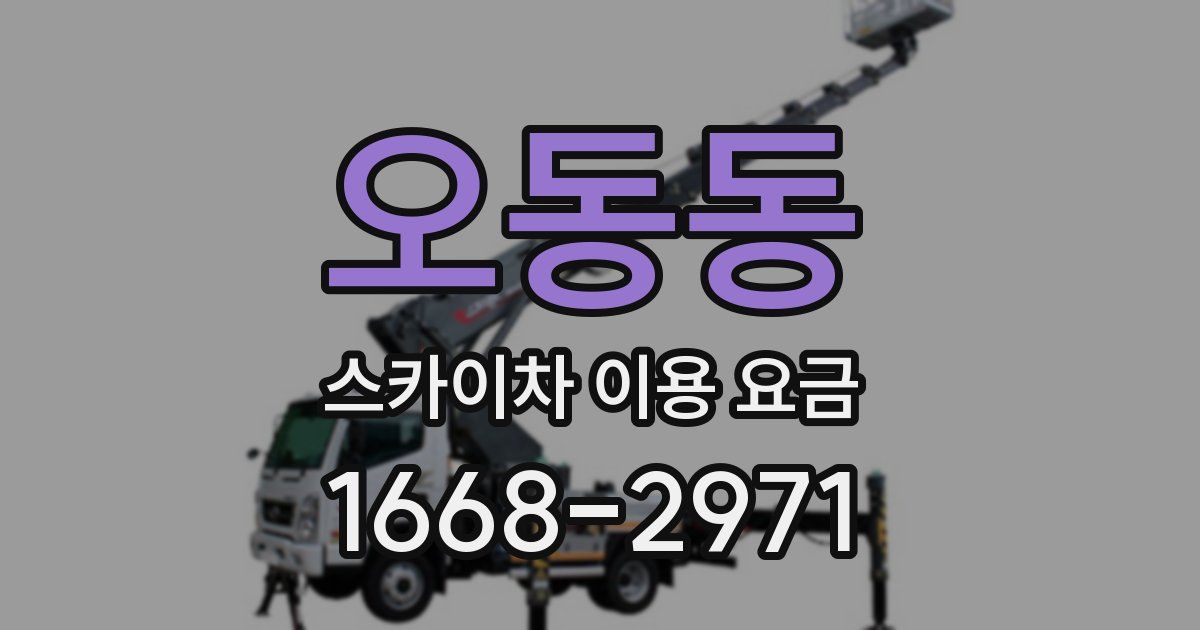 오동동 스카이차 이용 요금