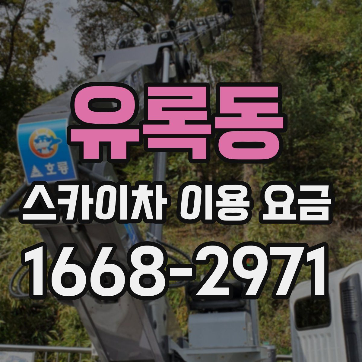 유록동 스카이차 이용 요금