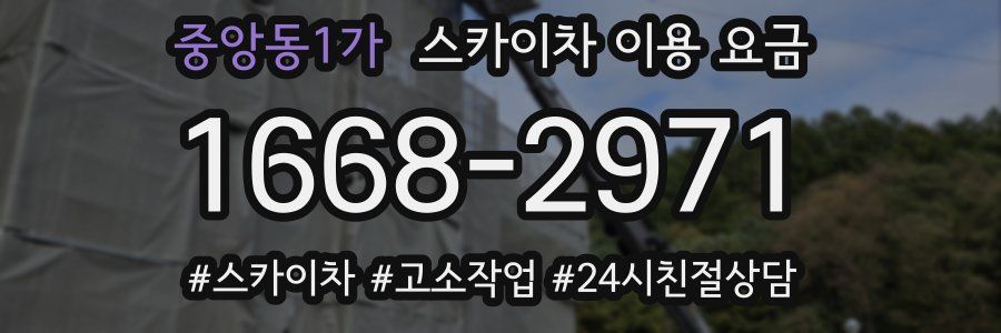 중앙동1가 스카이차 이용 요금