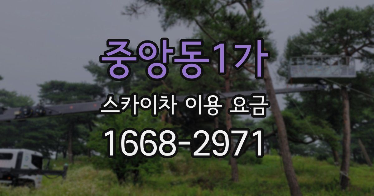 중앙동1가 스카이차 이용 요금