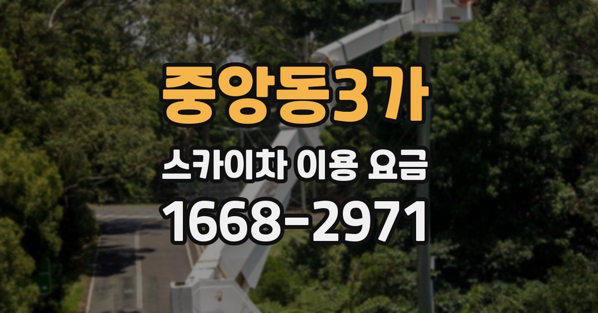 중앙동3가 스카이차 이용 요금