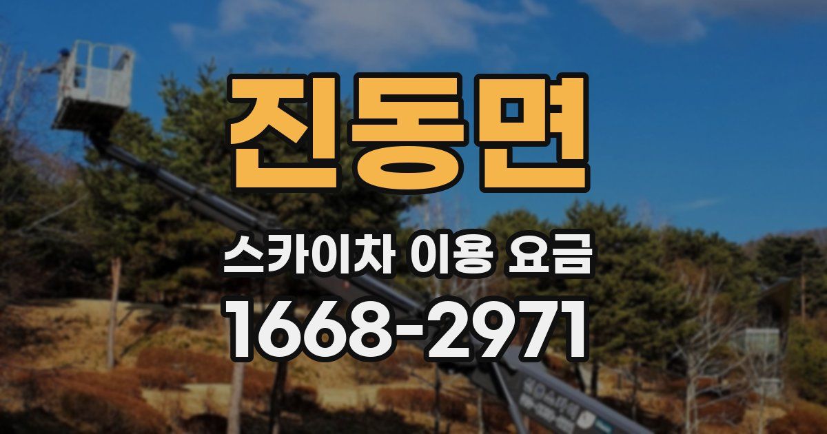 진동면 스카이차 이용 요금
