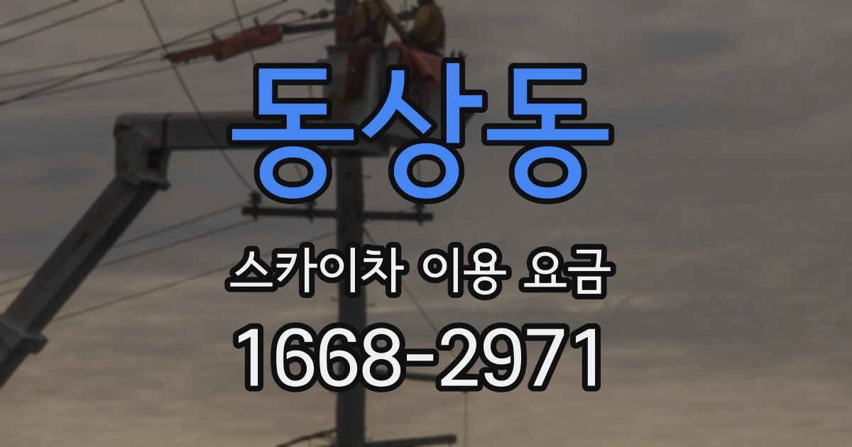 동상동 스카이차 이용 요금