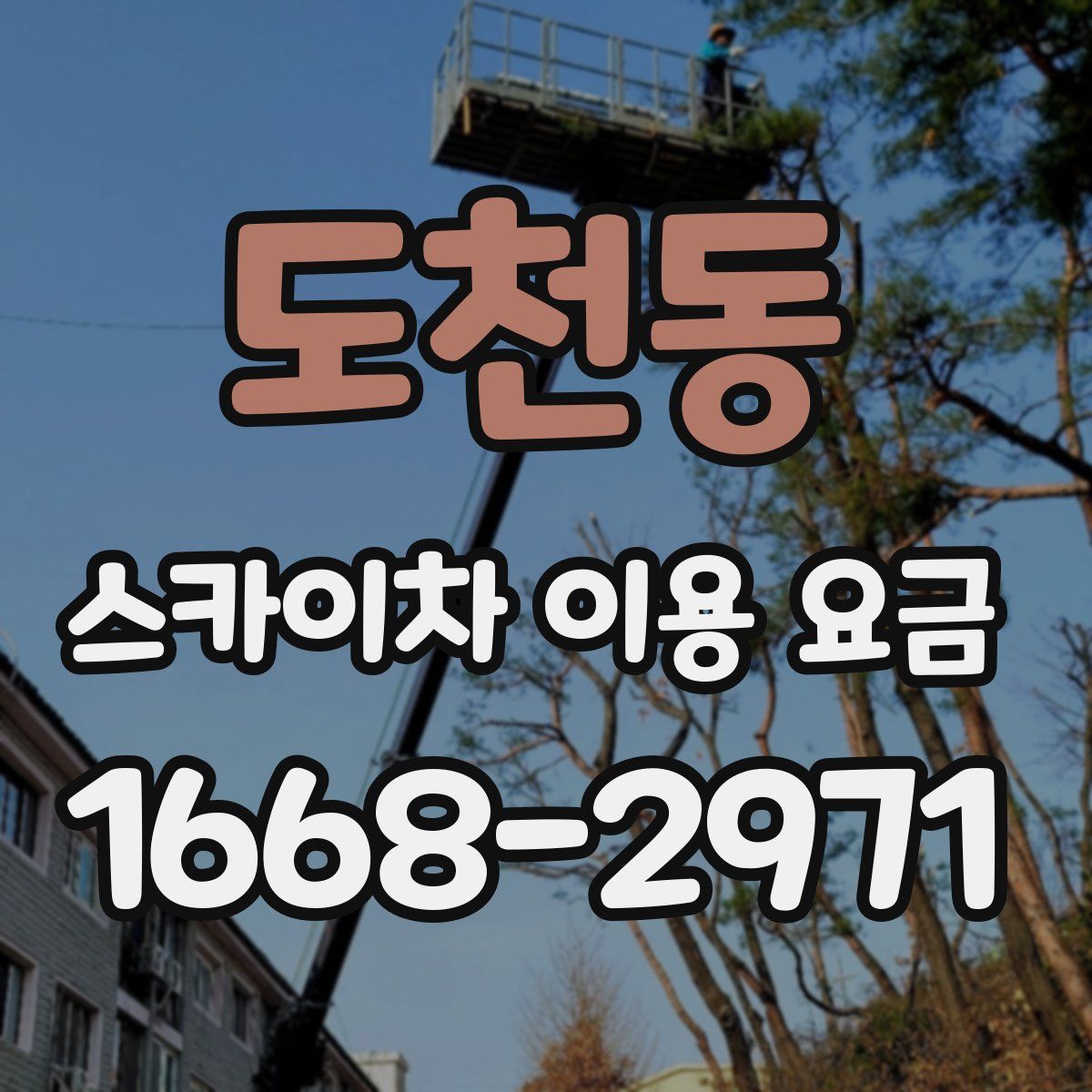 도천동 스카이차 이용 요금