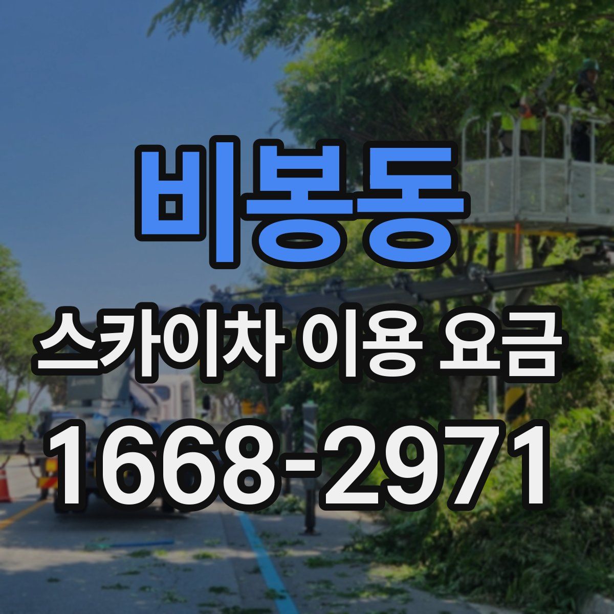 비봉동 스카이차 이용 요금