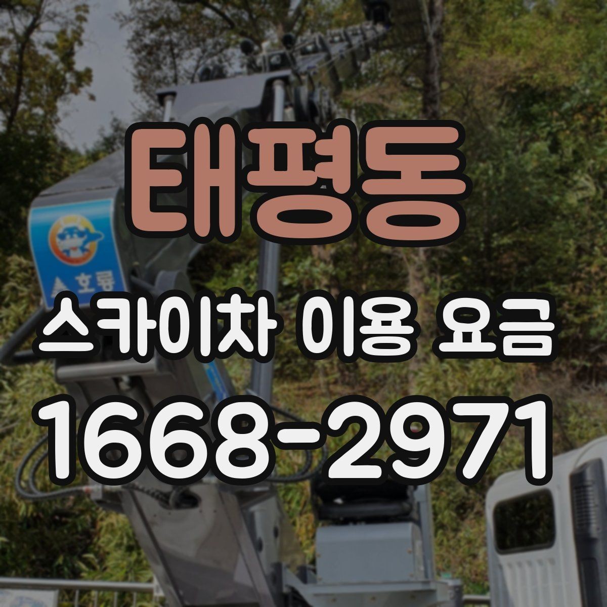 태평동 스카이차 이용 요금 안내에서 꼭 확인할 세부 항목